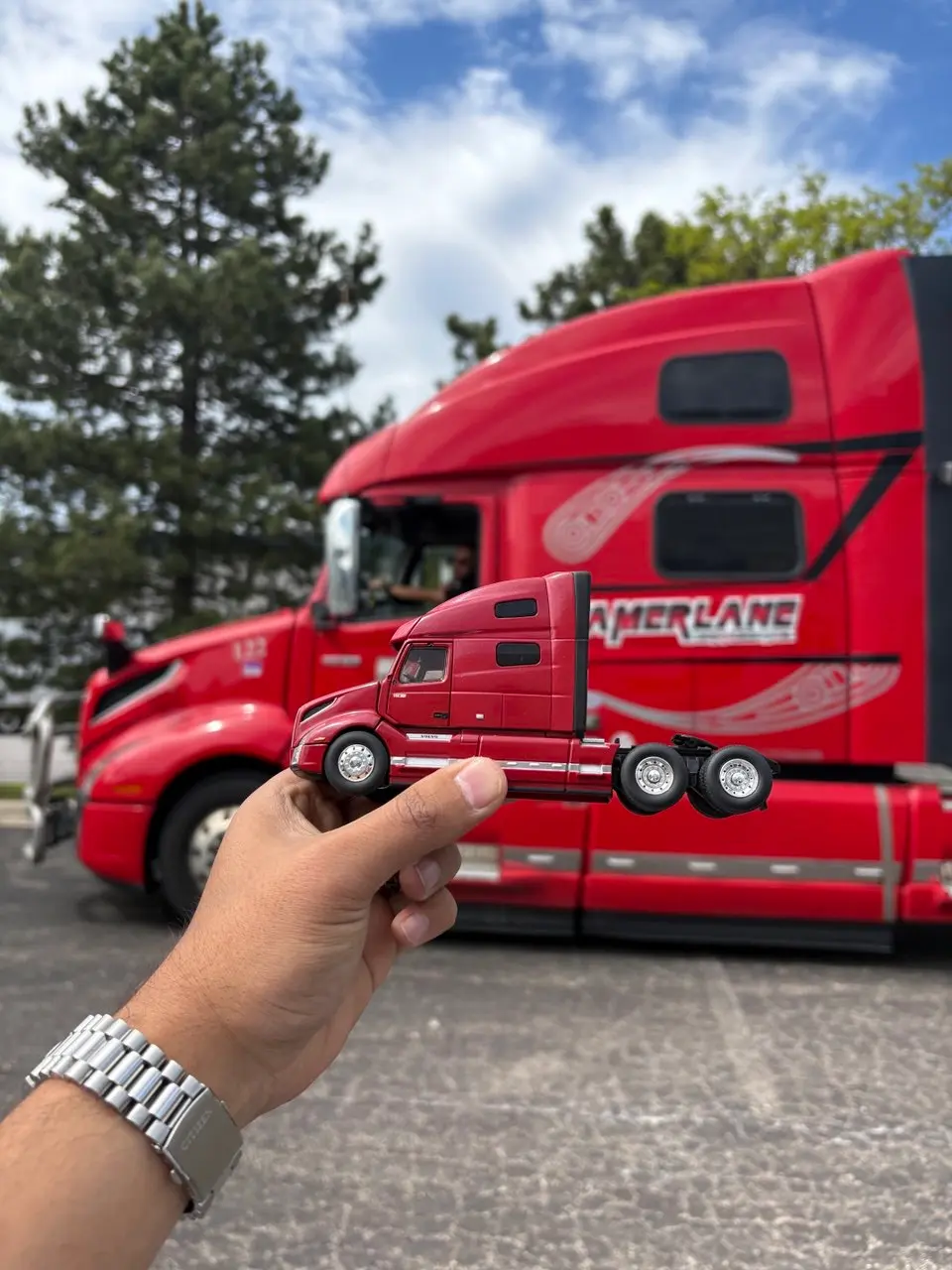 Tamerlane professionals